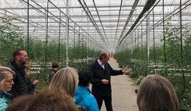 Im Gewächshaus der Westhof Bio-Gemüse GmbH&Co KG stellte Rainer Carstens die Produktion vor.